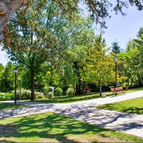 un banc est assis à l' ombre d' un grand arbre dans un parc