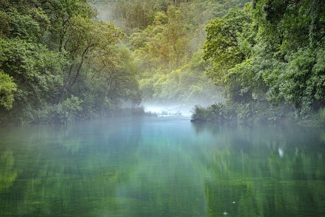 a river that is surrounded by trees and fog