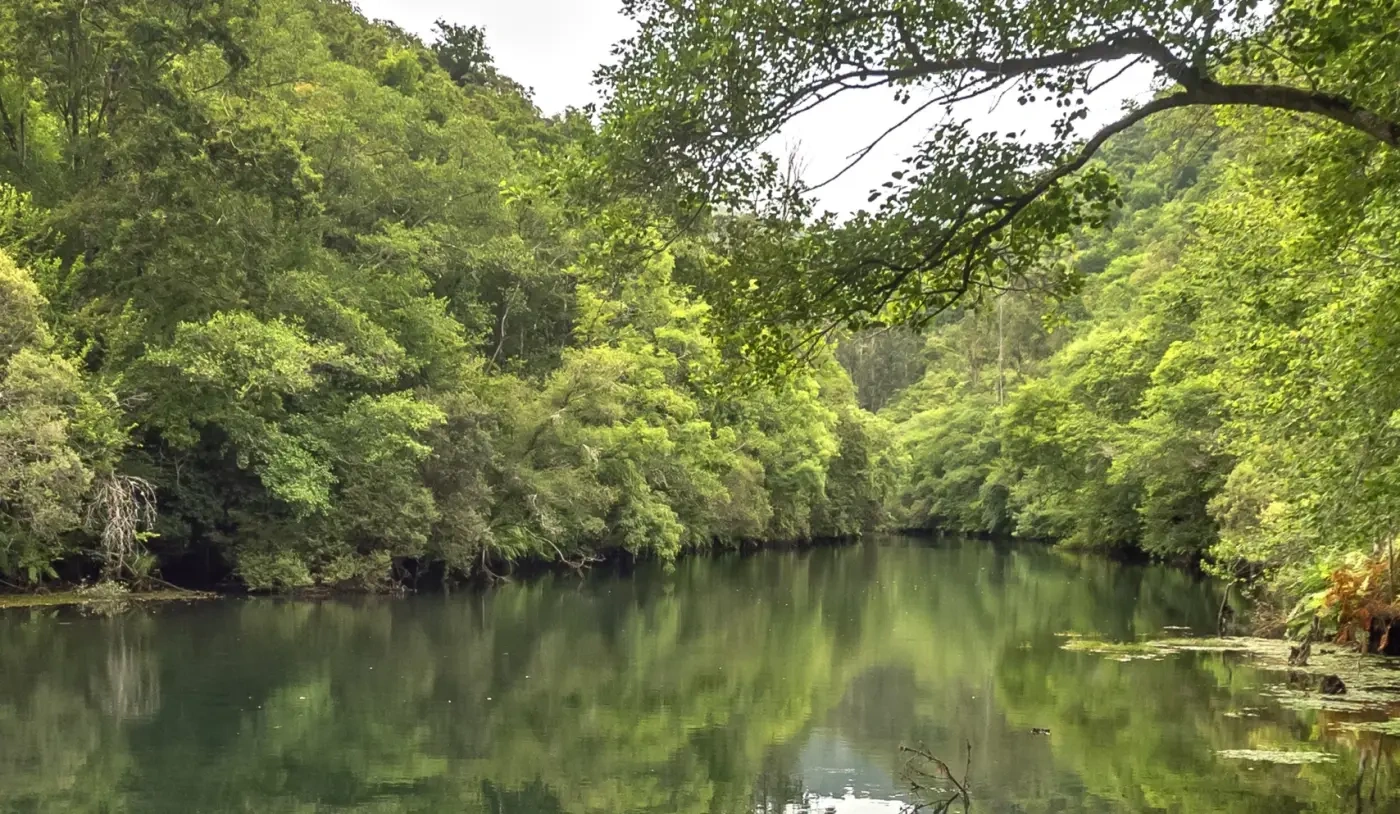 un hombre lleva una tabla de surf por la playa al atardecer