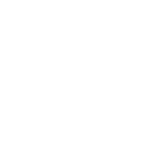el logotipo de pazo o rial es un grupo de hoteles