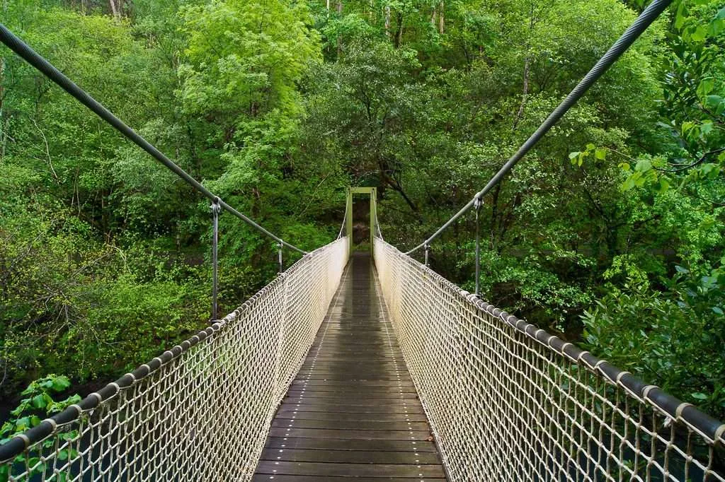 un hombre monta una bicicleta en la carretera al atardecer