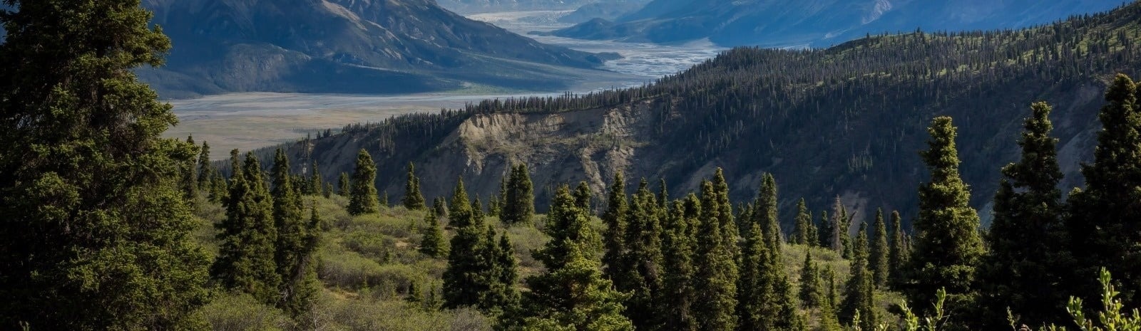 une salle à manger avec un canapé et des chaises