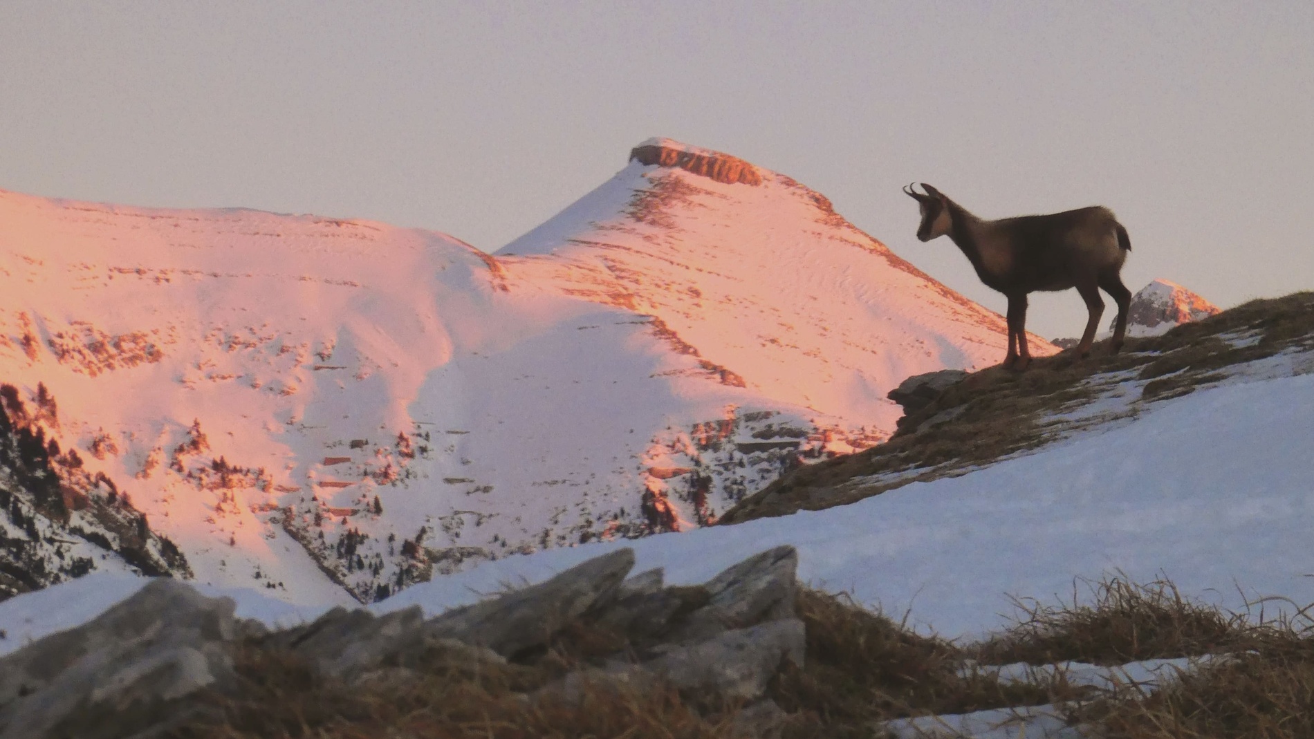 Hotel SNO Ciudad de Sabiñanigo