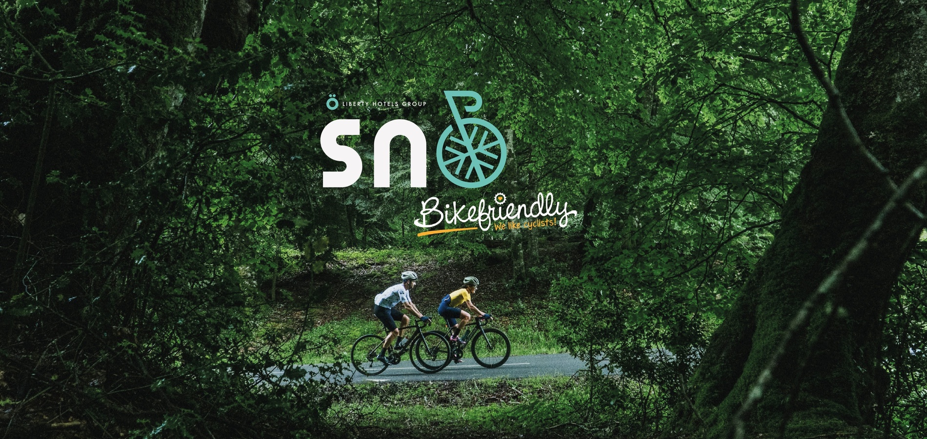 un grupo de personas en bicicleta en una carretera rodeada de montañas