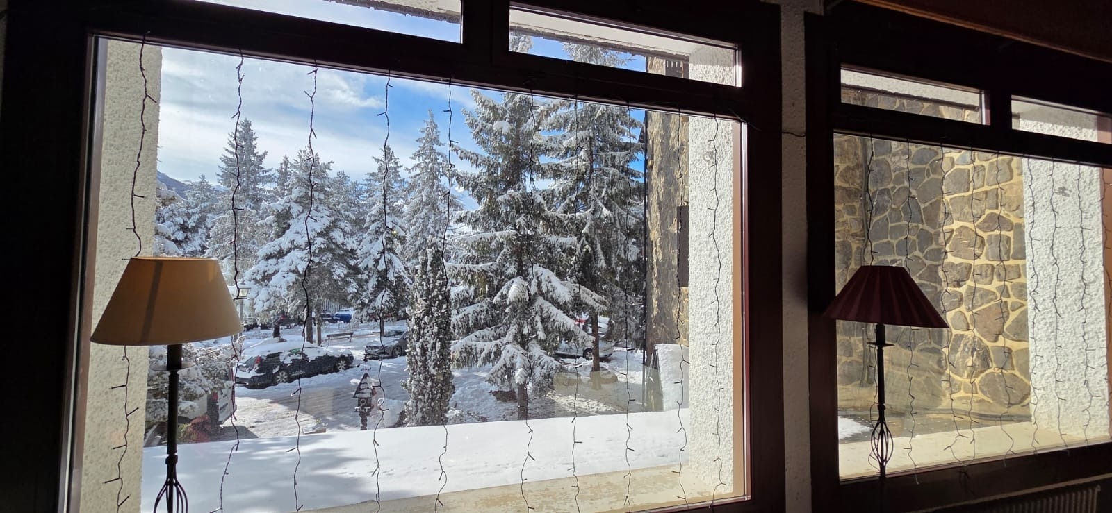 snow covered trees against a blue sky with clouds