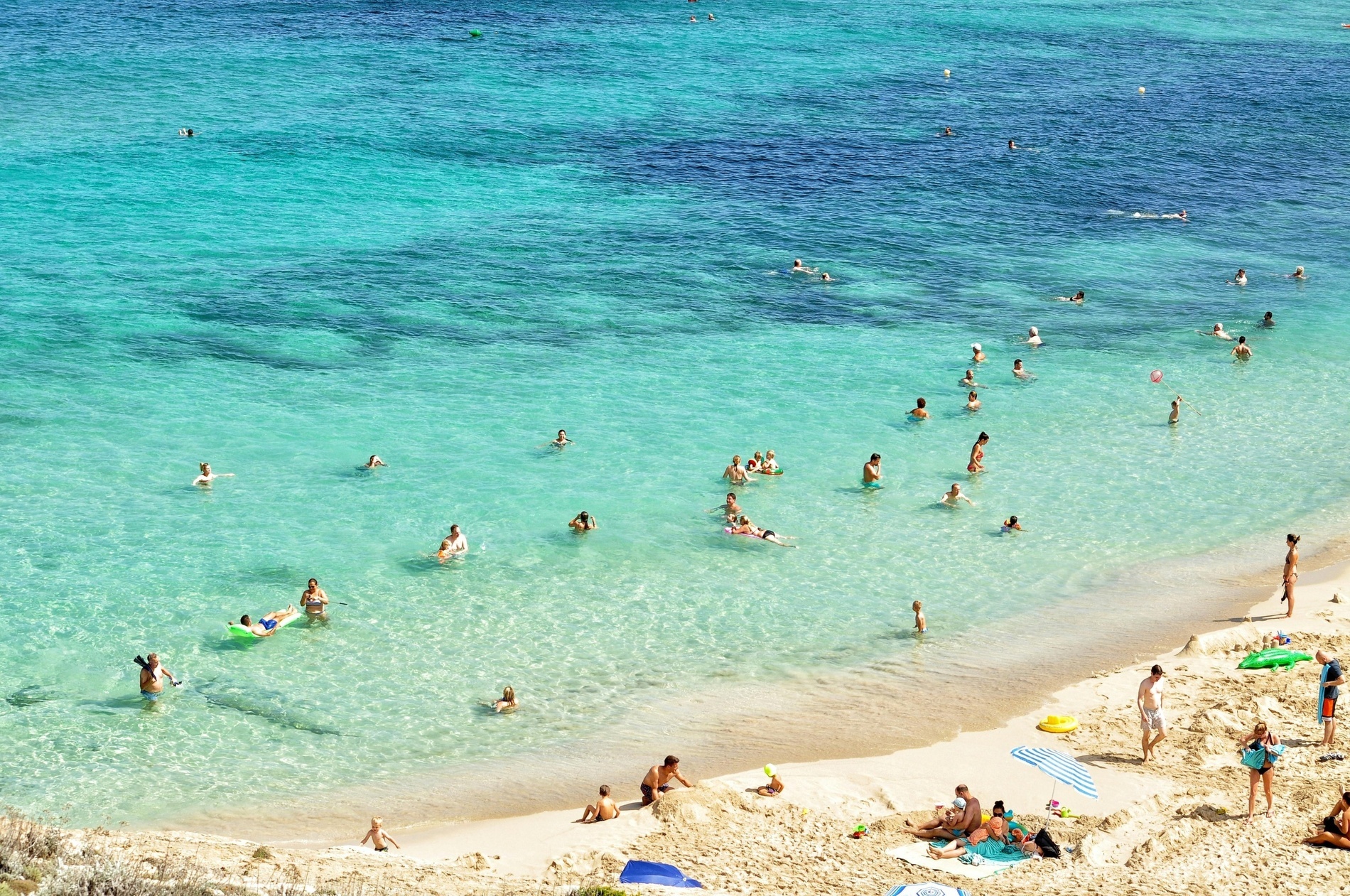 a group of people are swimming in the ocean