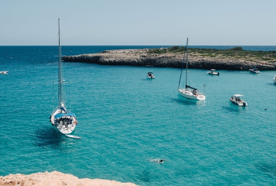 un hombre camina por la playa con su perro