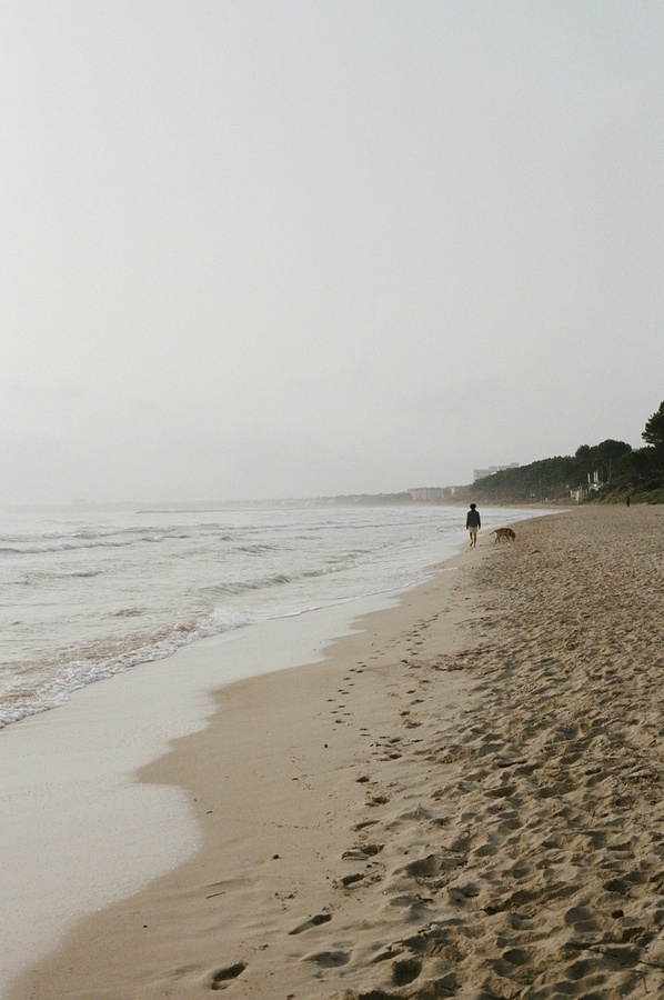 un grupo de barcos están flotando en el océano
