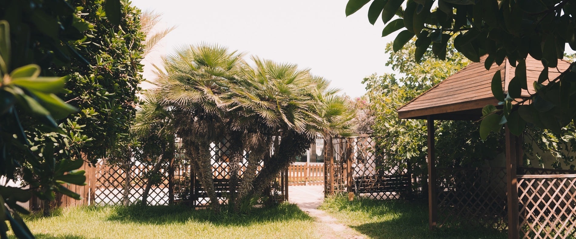 a wooden gazebo is surrounded by palm trees