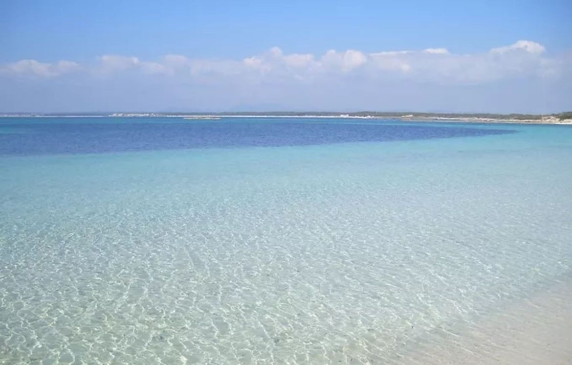 een strand met een blauwe lucht en turquoise water