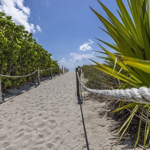 a sandy path leading to the beach with a white rope