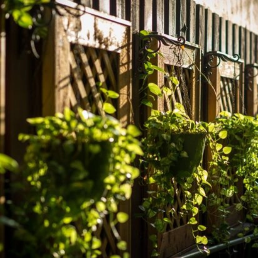 Suites on South Beach