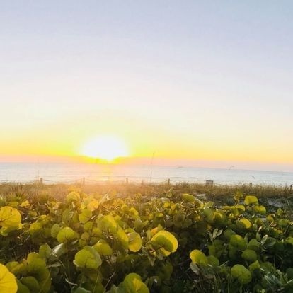 Suites on South Beach