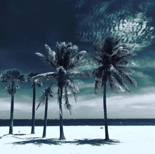 Suites on South Beach