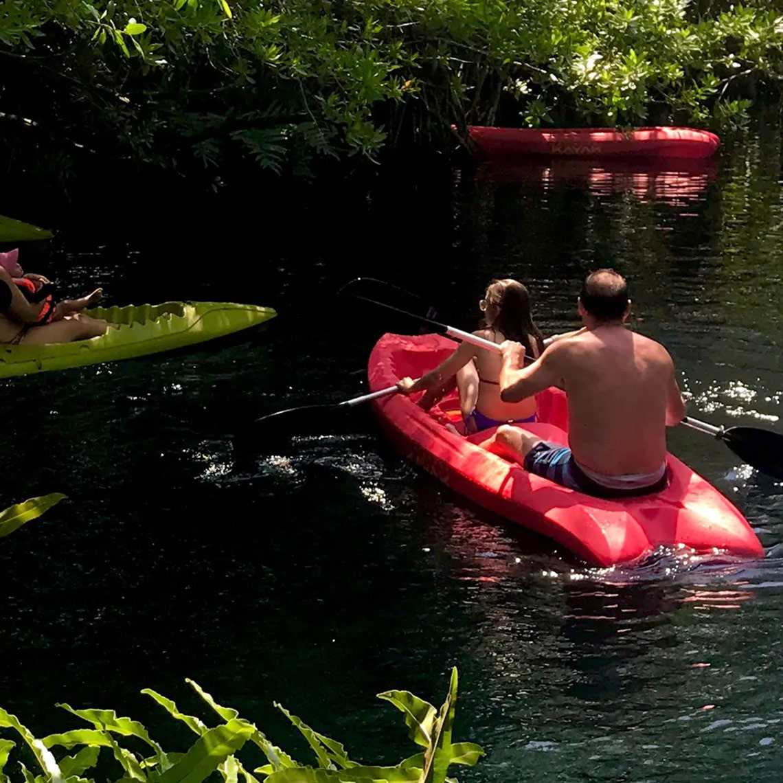 Kayaking fun at Hacienda Tres Rios | Official Page. Enjoy pristine waters on this adventure.