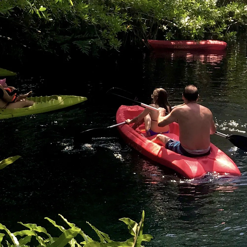 Kayaking in a serene river surrounded by lush greenery. Sunset Hotels Collection: Corporativa