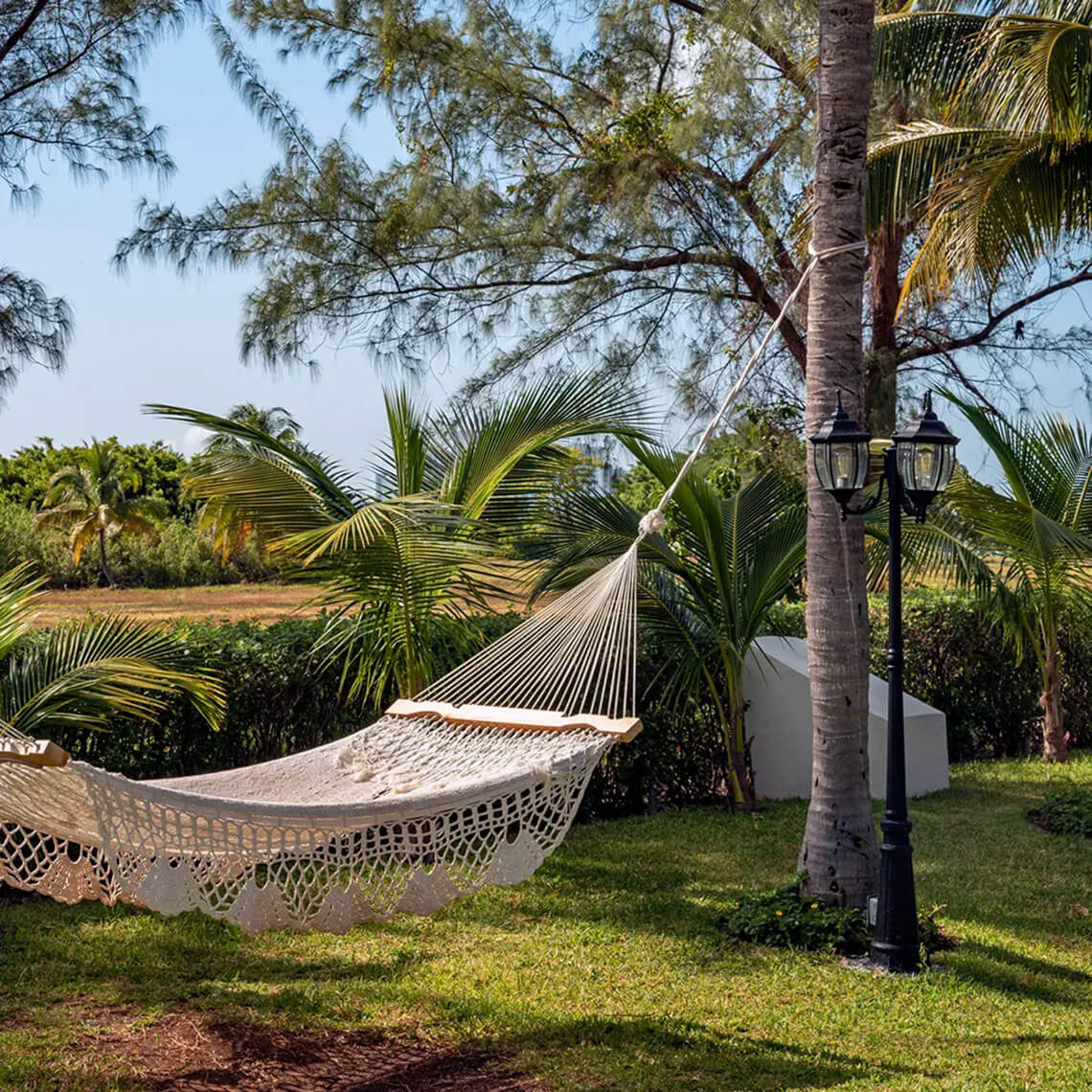 Hamaca de Laguna Suites junto a palmeras, ideal para relajarse.