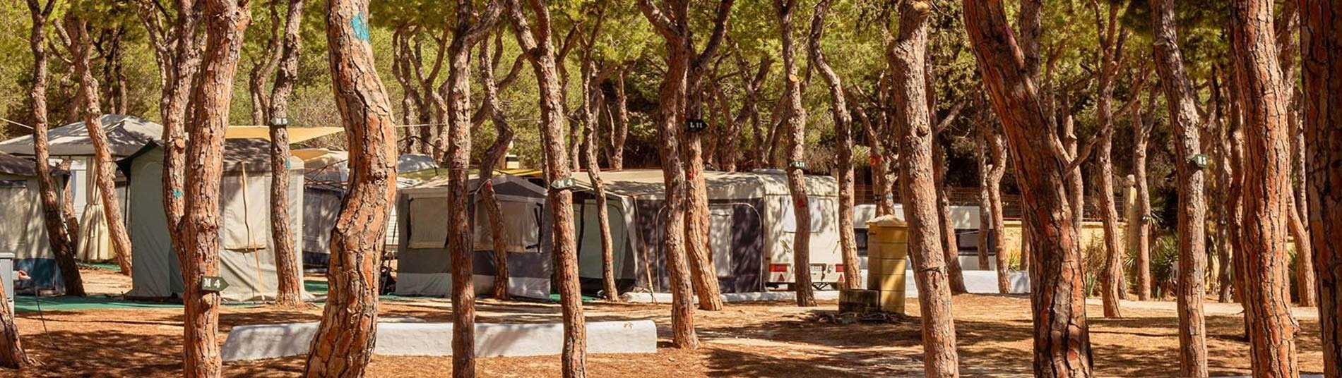 una vista aérea de un parque con algunas casas y árboles