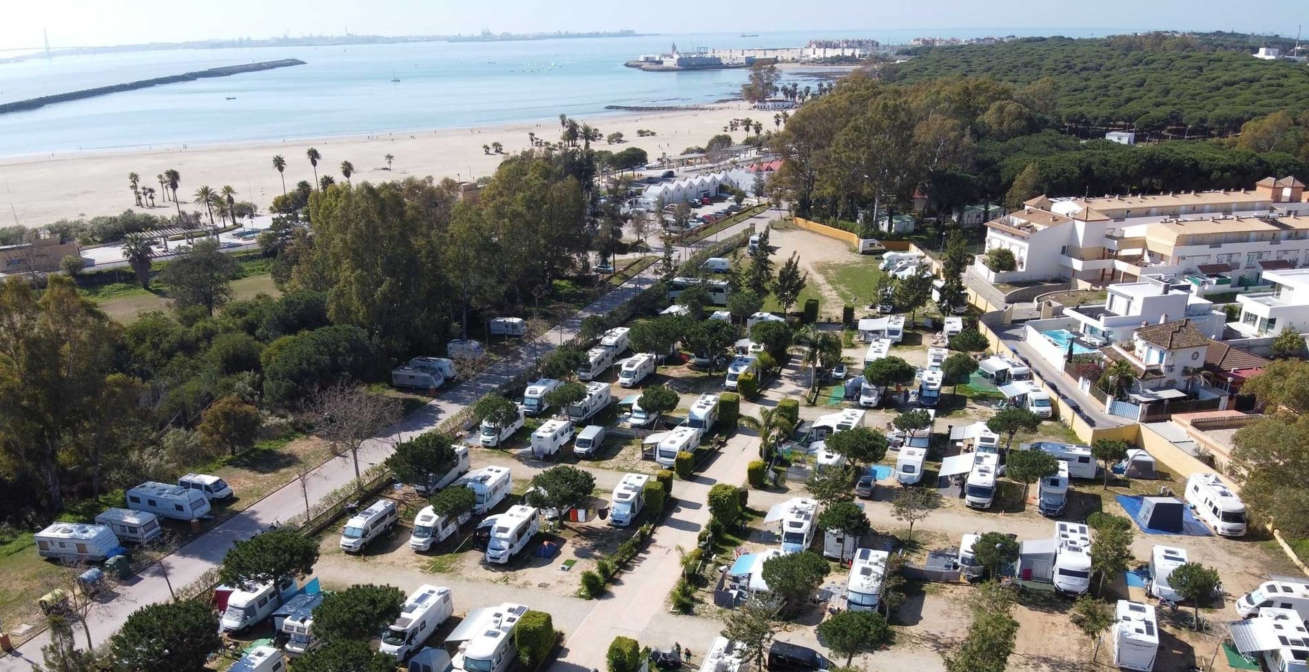 deux maisons blanches sont entourées d' arbres et de fleurs