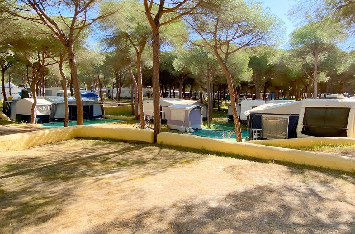 un par de cañas de pescar en la playa con el océano en el fondo