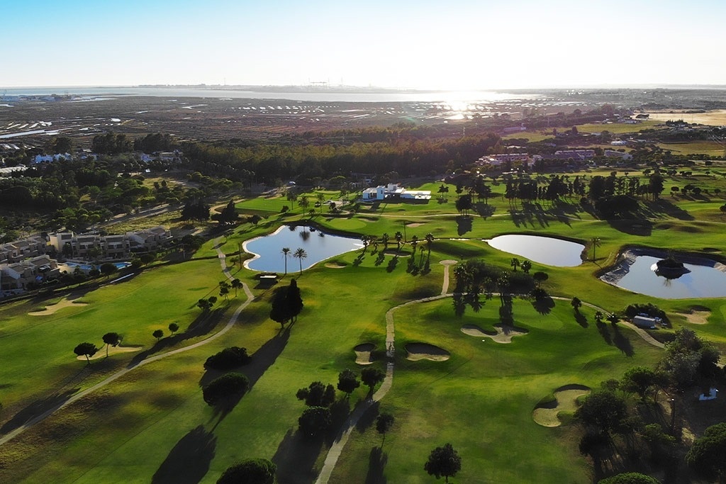 un drapeau vert est suspendu à un poteau sur un terrain de golf