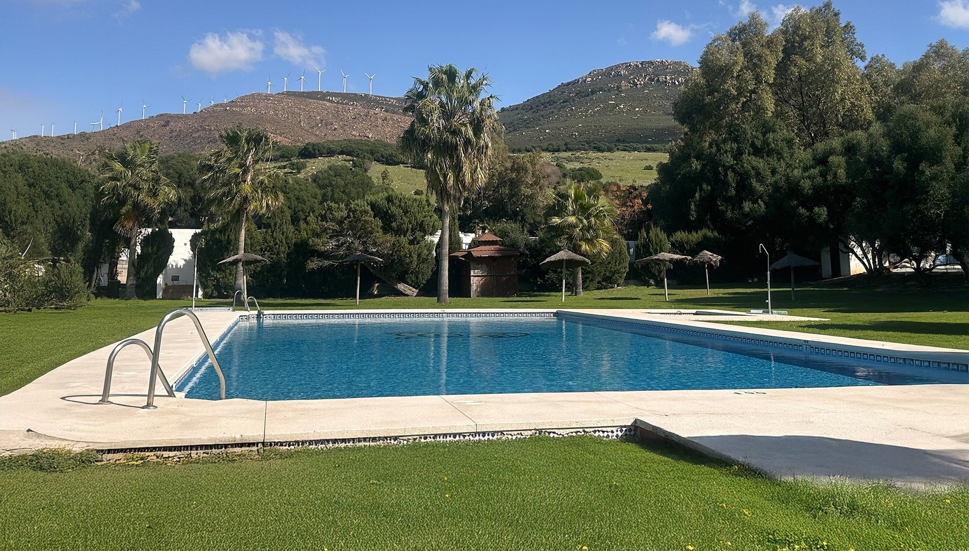 una piscina rodeada de palmeras y árboles con una montaña en el fondo