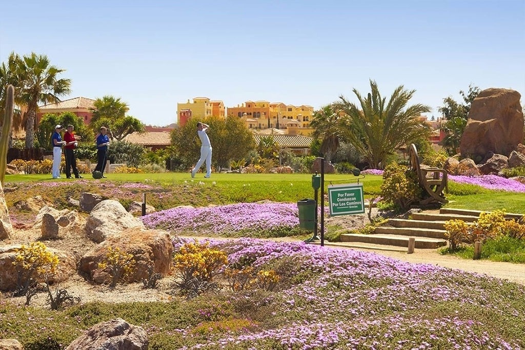un drapeau vert est suspendu à un poteau sur un terrain de golf