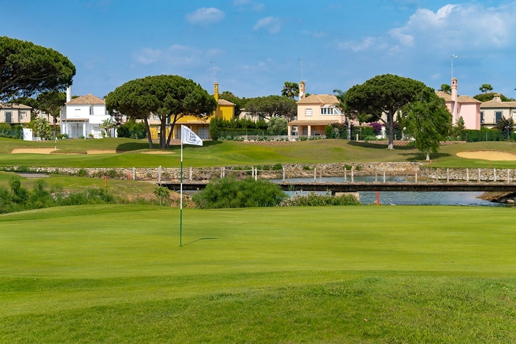 un drapeau vert est suspendu à un poteau sur un terrain de golf