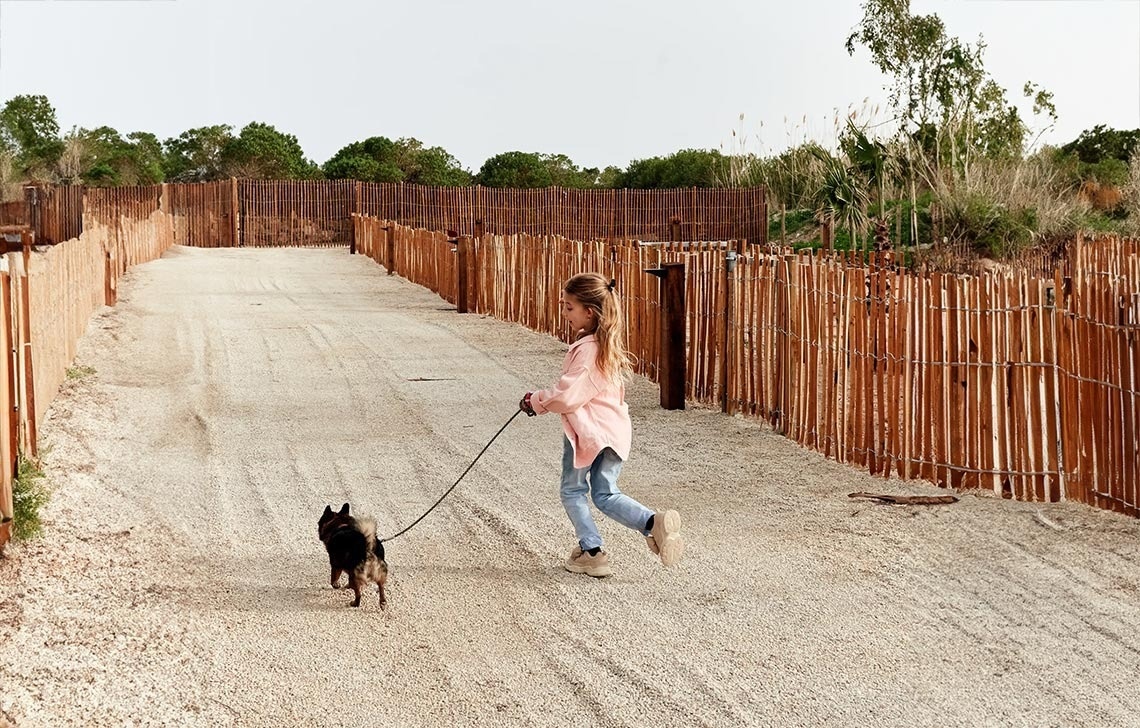 una menina camina un perro por un camino de grava