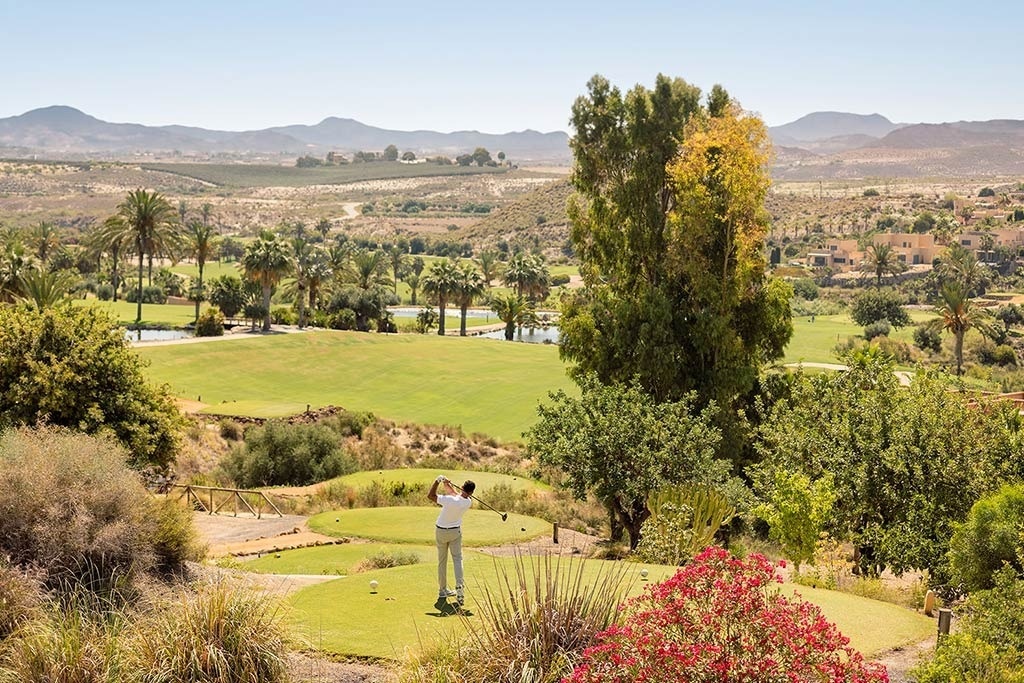 un drapeau vert est suspendu à un poteau sur un terrain de golf