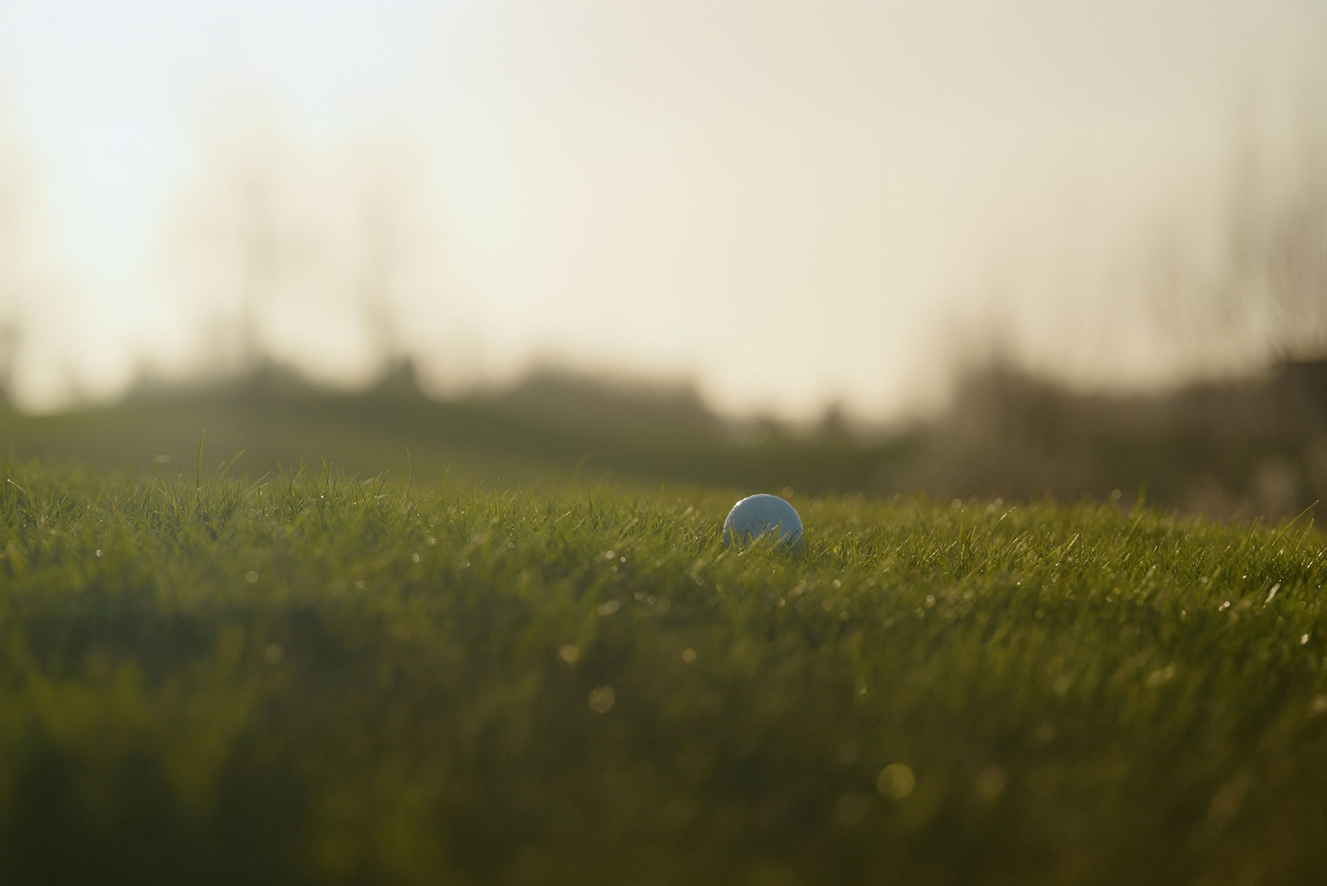 une femme se tient sur une terrasse à côté d' un camping rempli de caravanes et de voitures