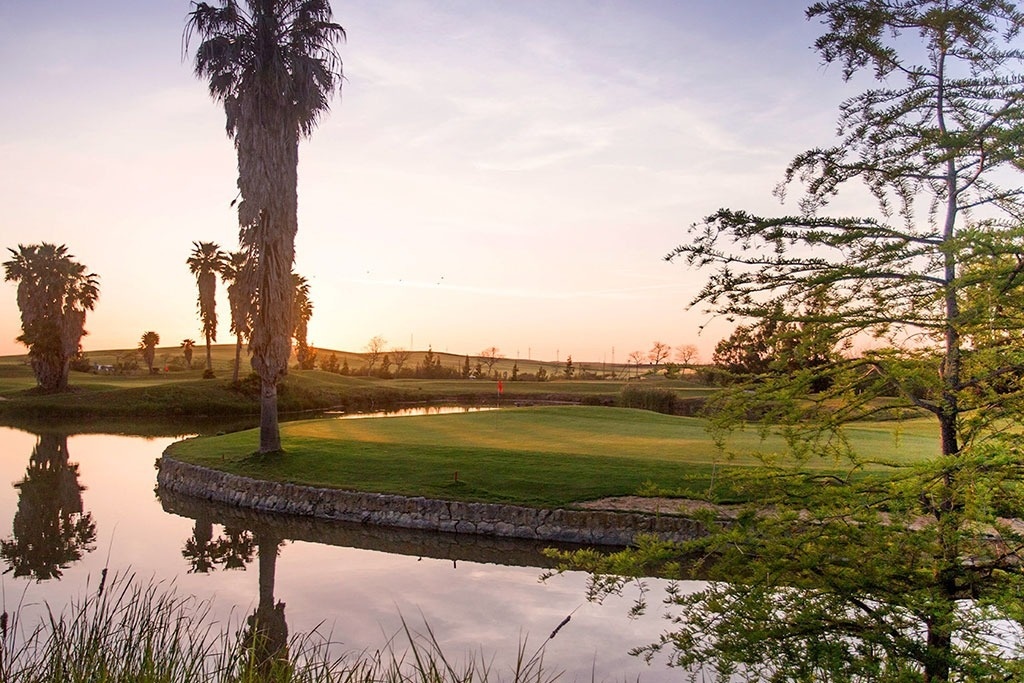 un drapeau vert est suspendu à un poteau sur un terrain de golf