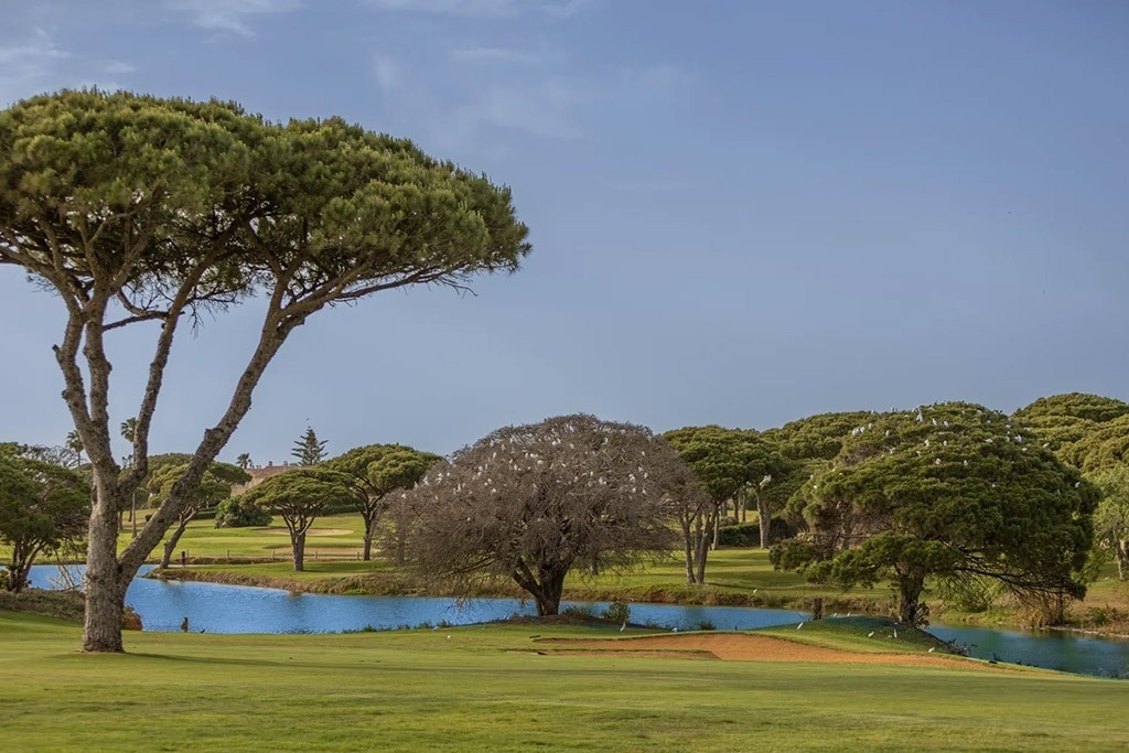 un drapeau vert est suspendu à un poteau sur un terrain de golf