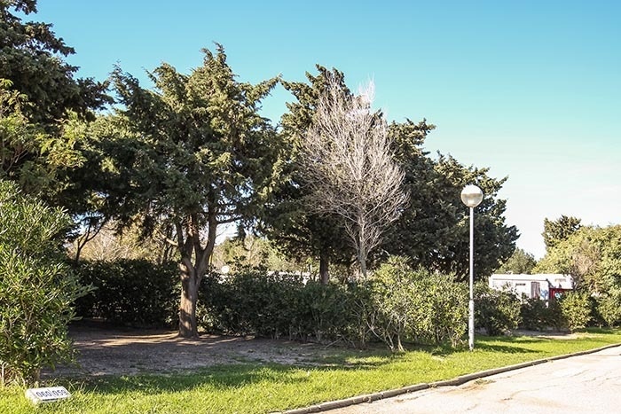 TAIGA | Campings & Resorts