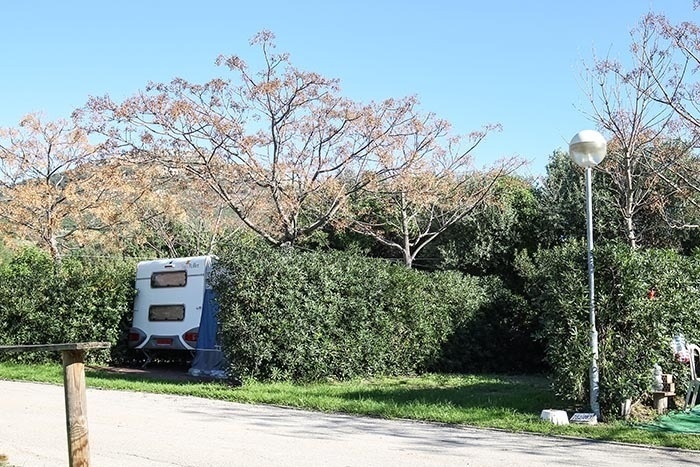 TAIGA | Campings & Resorts