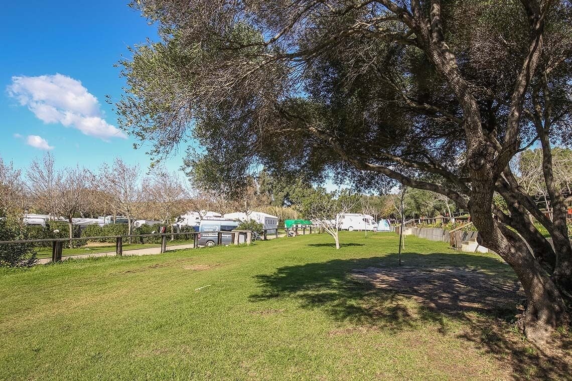 un área de camping con rvs y árboles en un día soleado