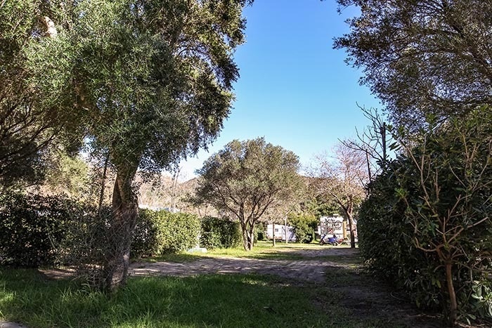 TAIGA | Campings & Resorts