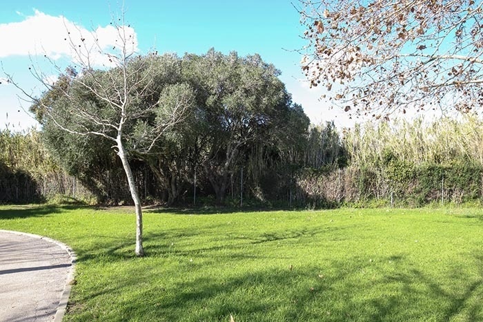 TAIGA | Campings & Resorts