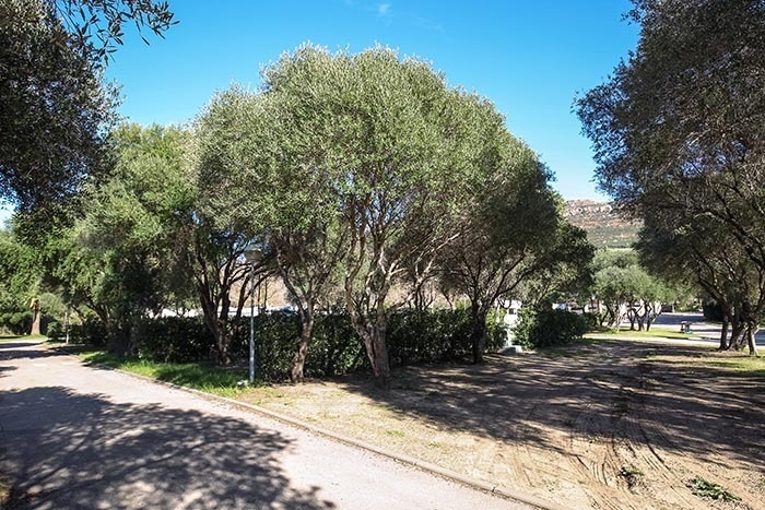 TAIGA | Campings & Resorts