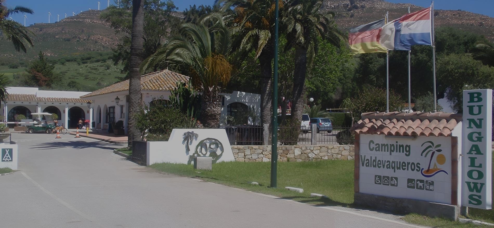 una casa blanca con la puerta abierta está rodeada de árboles