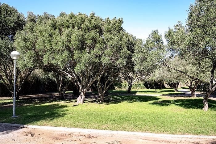 TAIGA | Campings & Resorts