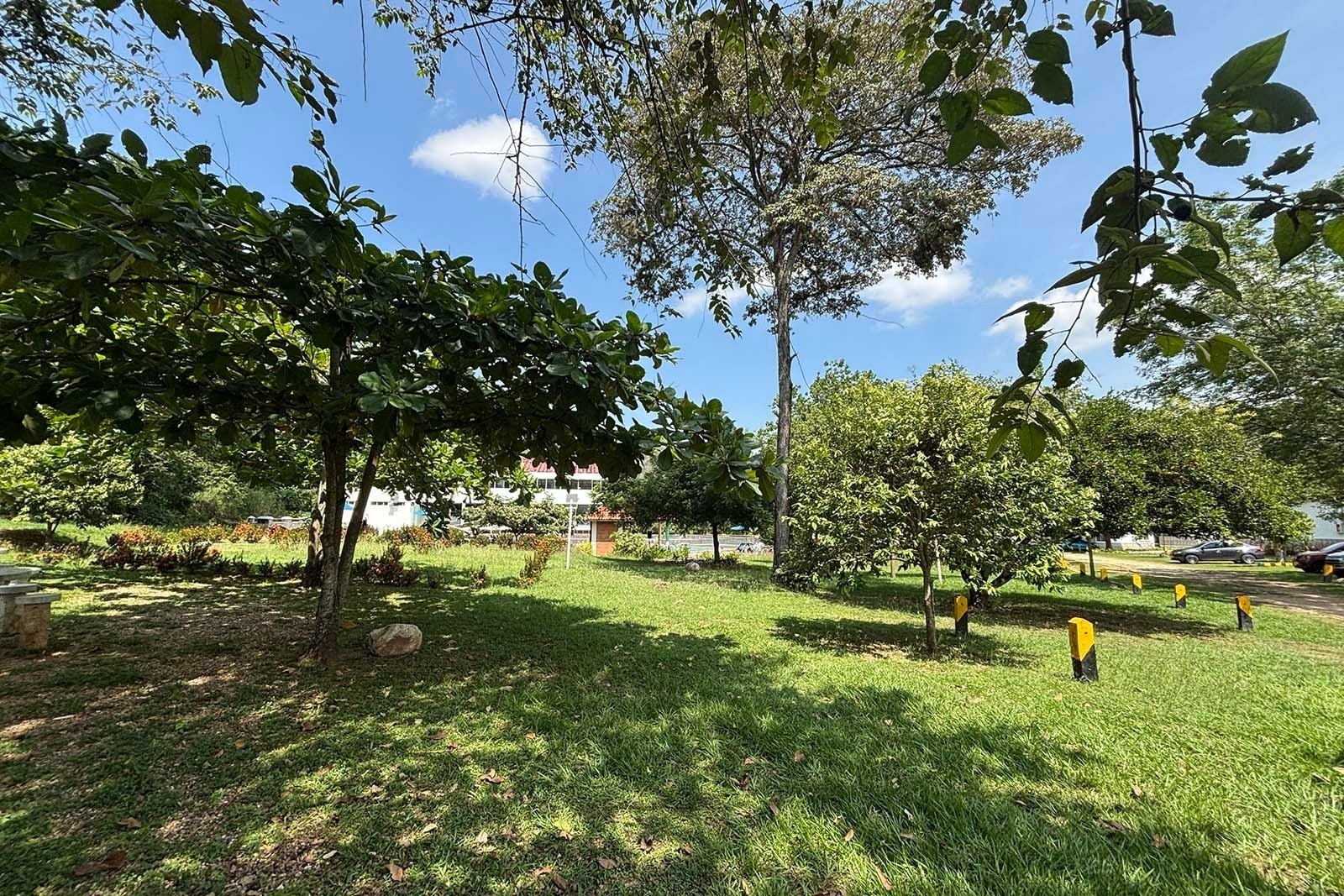 Hotel Mirador de Sumapaz: Jardín verde con árboles frondosos y cielo azul.