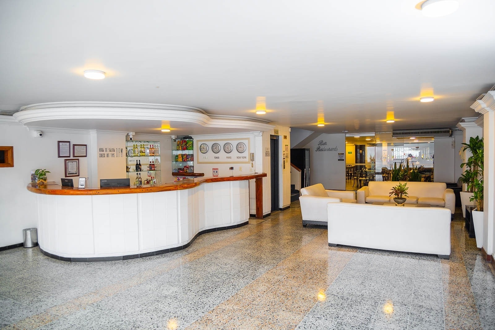 Hotel reception area at Tama Hotel Granada Real with sofas and a bar. Book direct!