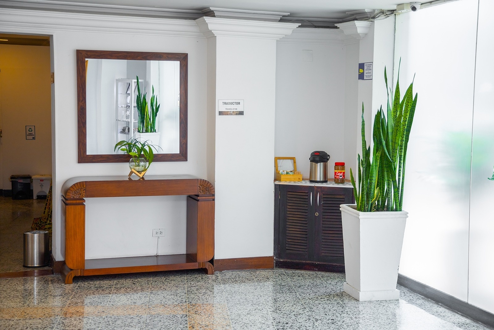 Snake plants in a white planter next to a dark cabinet at Tama Hotel Granada Real, North Cali.