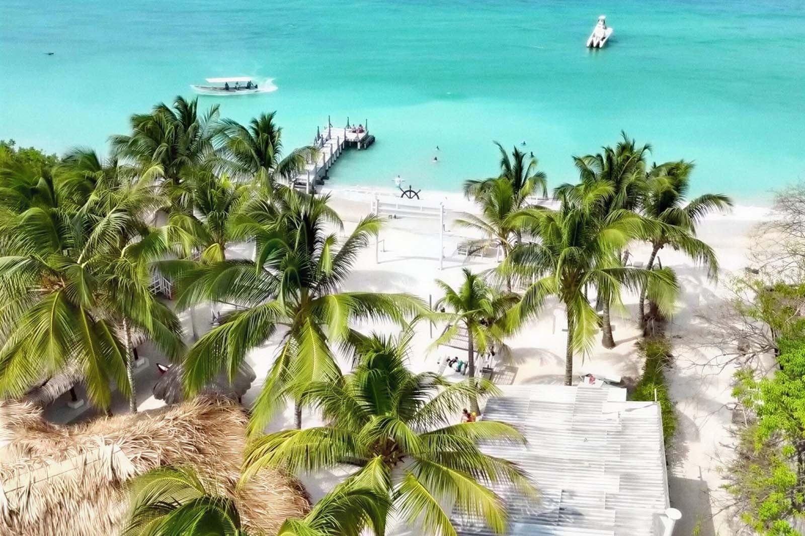 Palm trees and turquoise waters at Marine Beach Club & Hotel, Cartagena.