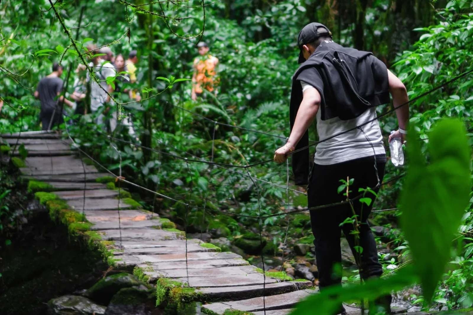 Tequendama: Corporativa - Puente en selva exuberante, ideal para aventura.