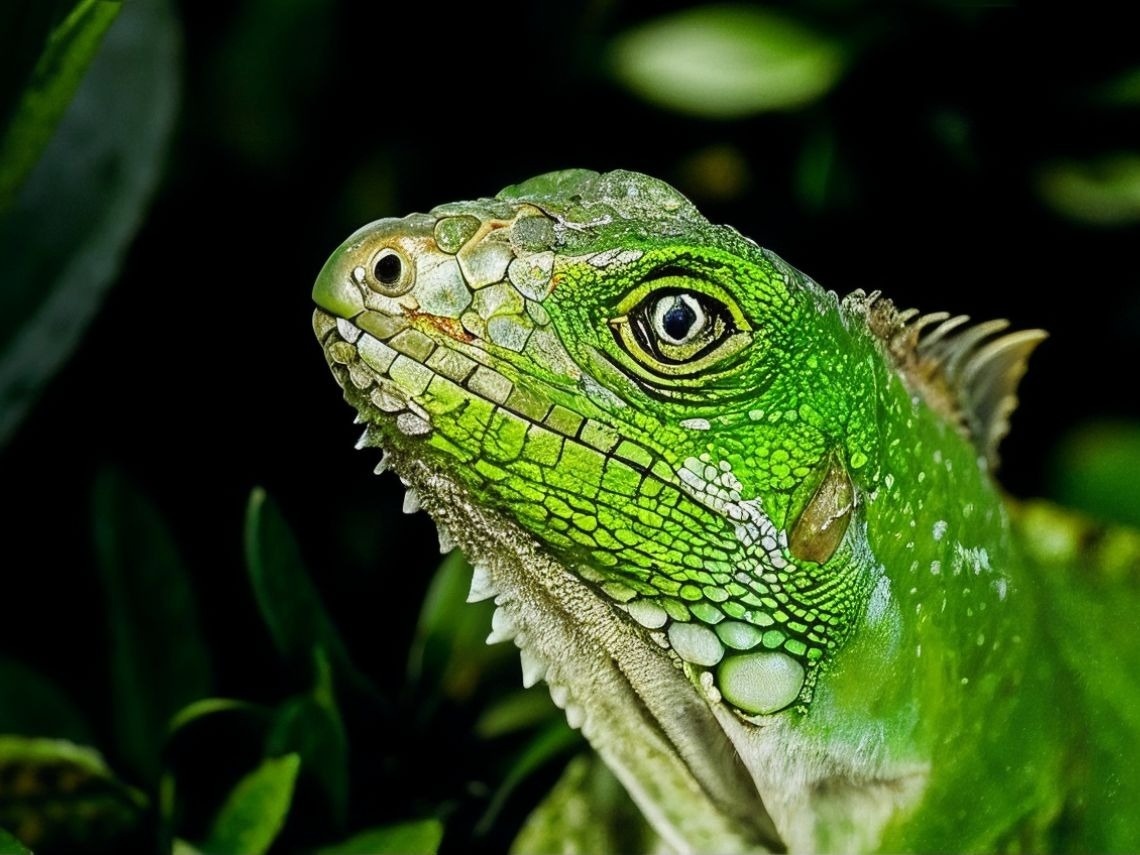 Primer plano de un lagarto verde con escamas detalladas, con hoja verde desenfocada detrás. | Hoteles en Cundinamarca | Tequendama Hoteles
