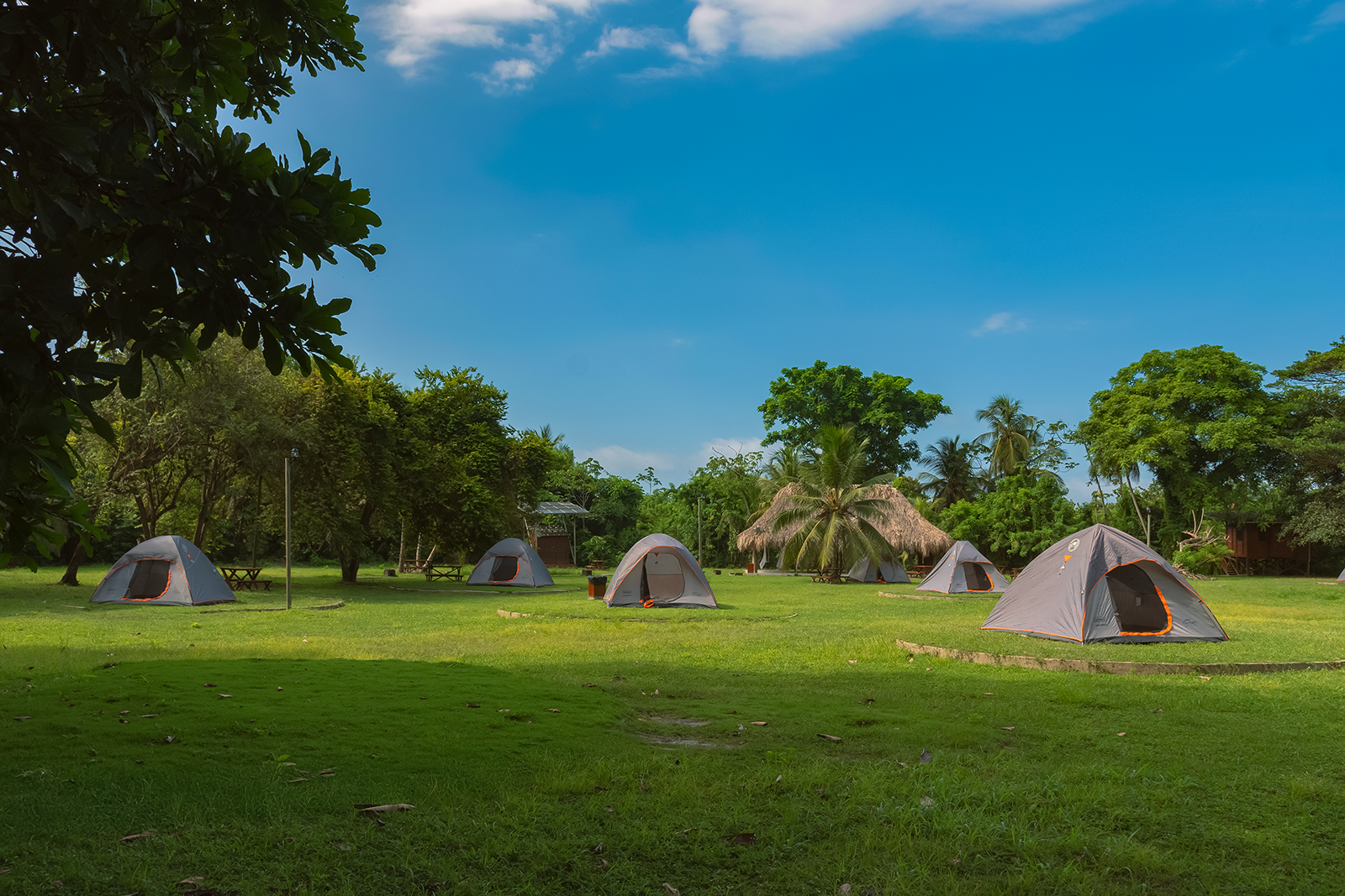 Tents set up on a grassy lawn at Ecohabs Tequendama near Tayrona Park.