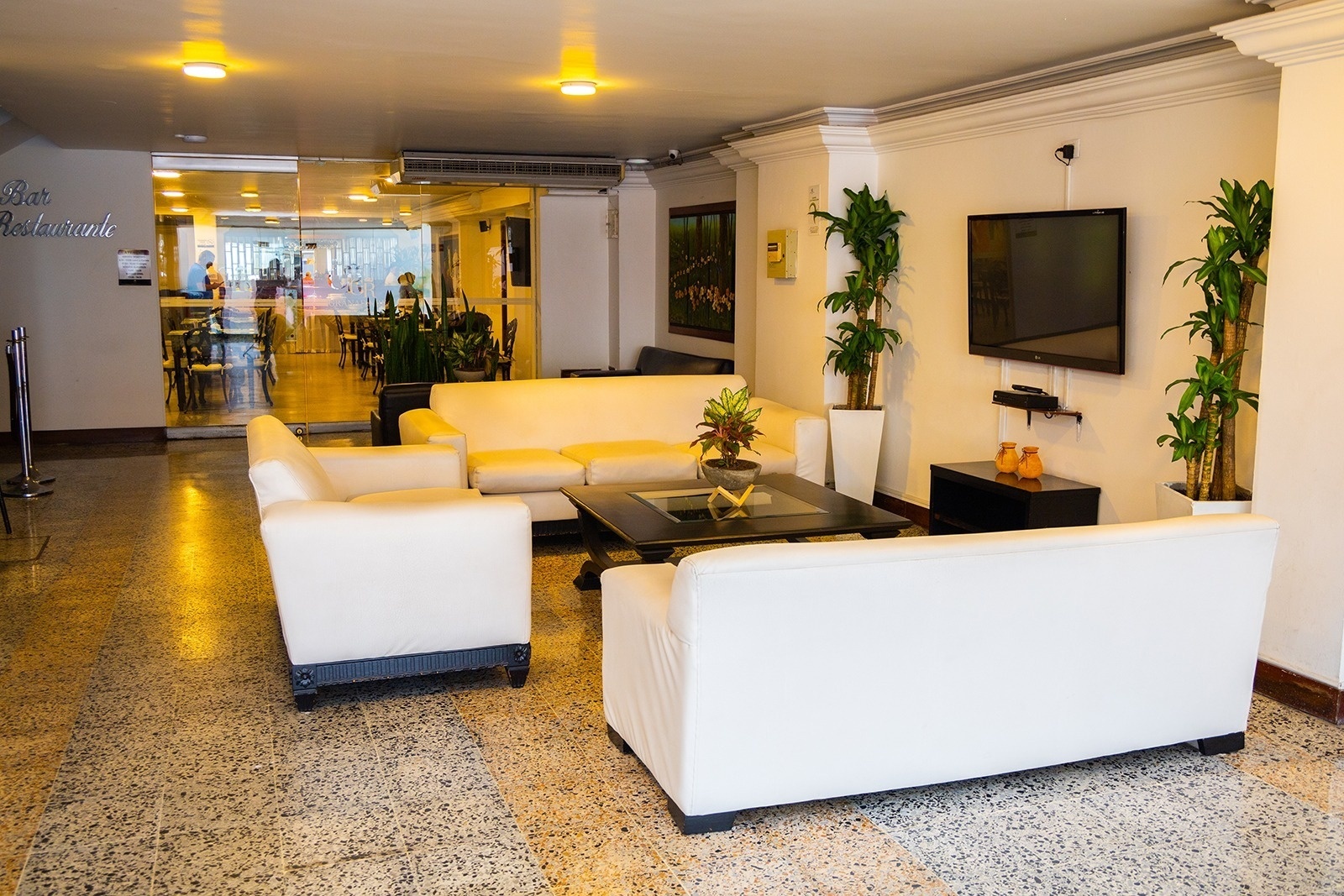Lobby of Tama Hotel Granada Real: white sofas, coffee table, and TV.