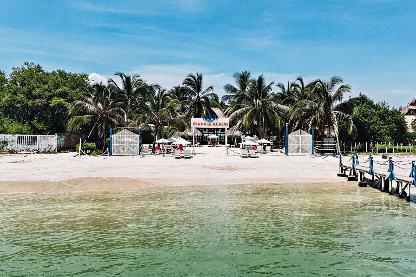 Marine Beach Club & Hotel: Idyllic beach with palm trees and turquoise waters in Cartagena.